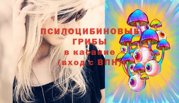 бошки Балахна