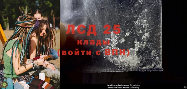 ГАЛЛЮЦИНОГЕННЫЕ ГРИБЫ Балабаново