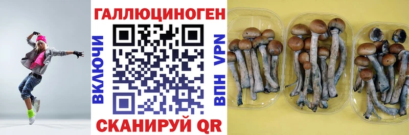 Галлюциногенные грибы Cubensis  blacksprut зеркало  Саранск 